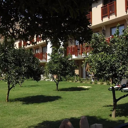 Noxinn Club فندق 5*